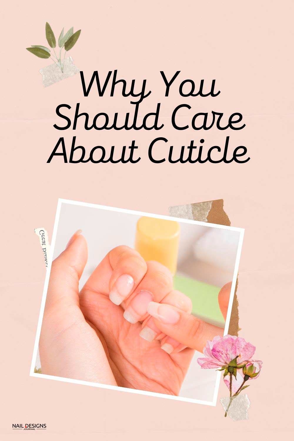 What Is A Cuticle And Why You Should Care For It?