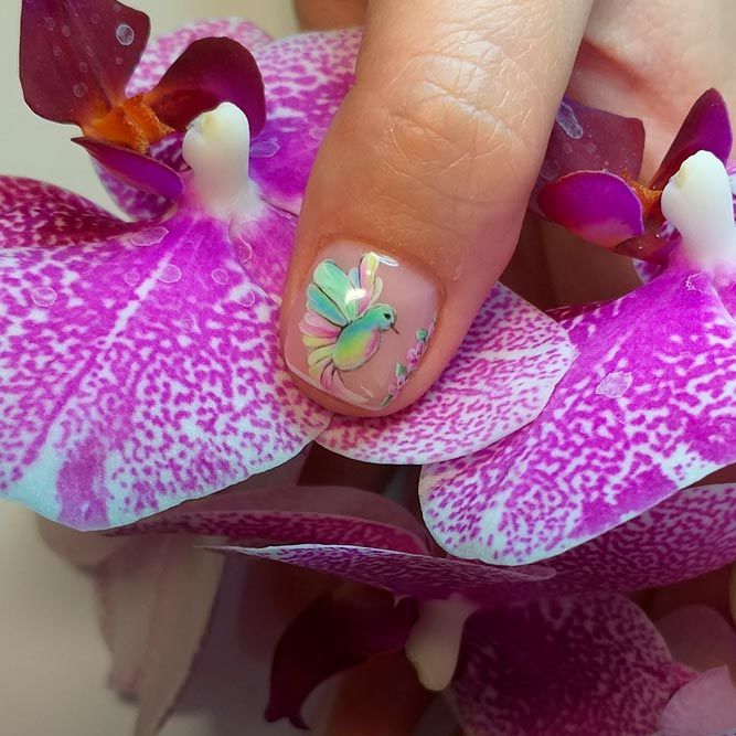 Birds Tropical Nails Designs